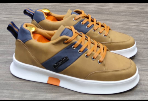 shoe