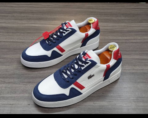 shoe