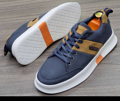 shoe
