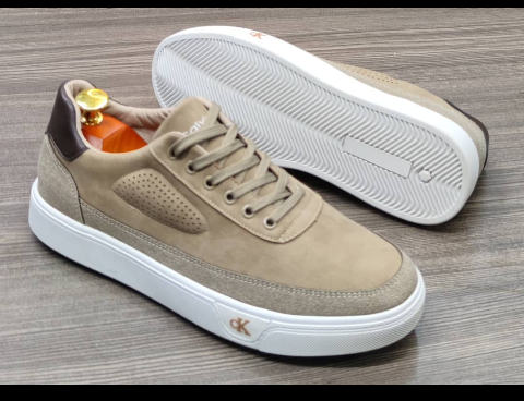 shoe