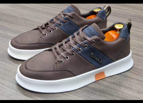 shoe