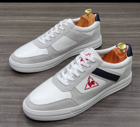 shoe