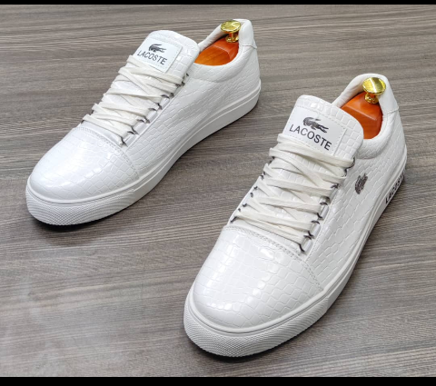 shoe