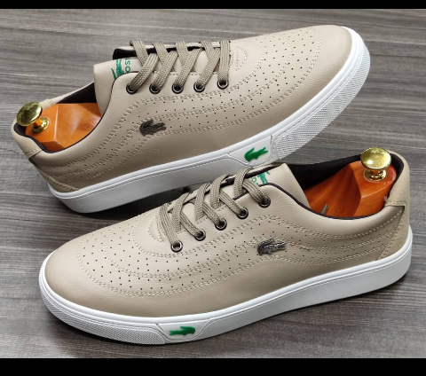 shoe