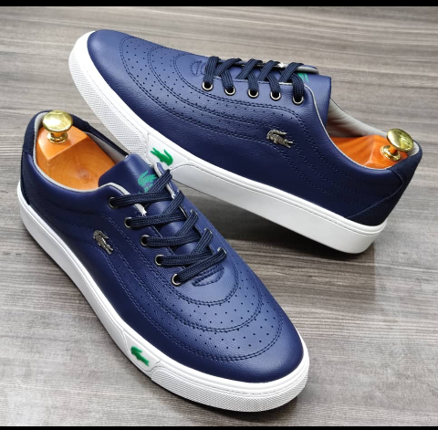shoe