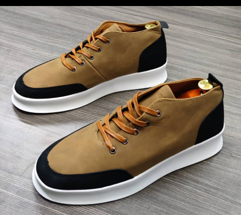 shoe