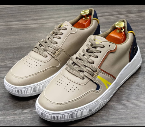 shoe