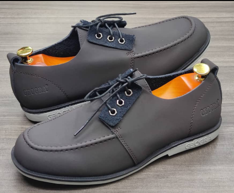 shoe