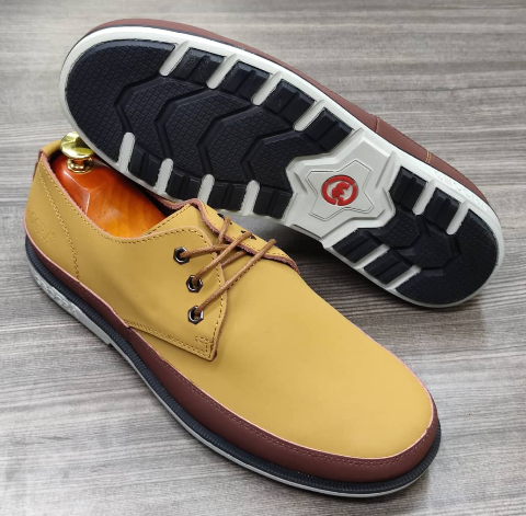 shoe