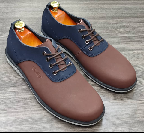shoe