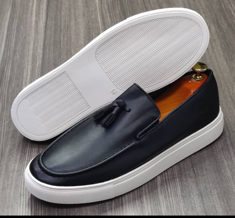 shoe