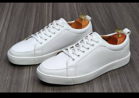 shoe