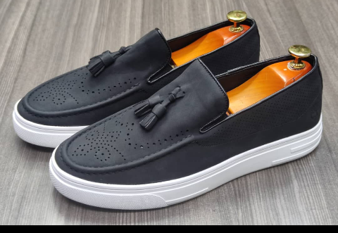 shoe