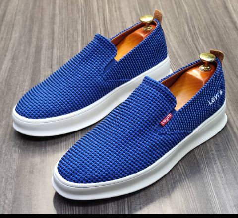 shoe