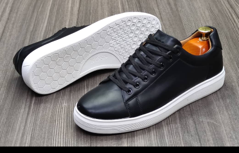 shoe
