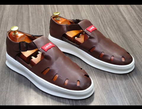 shoe