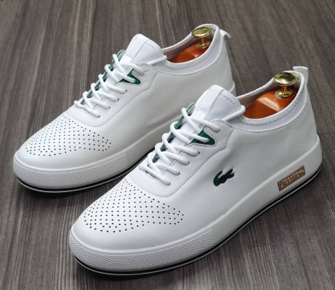 shoe