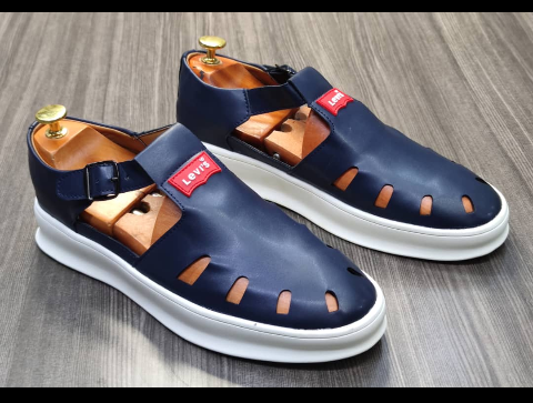 shoe