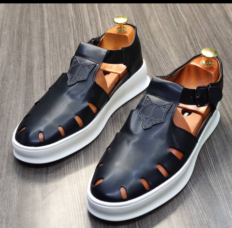 shoe