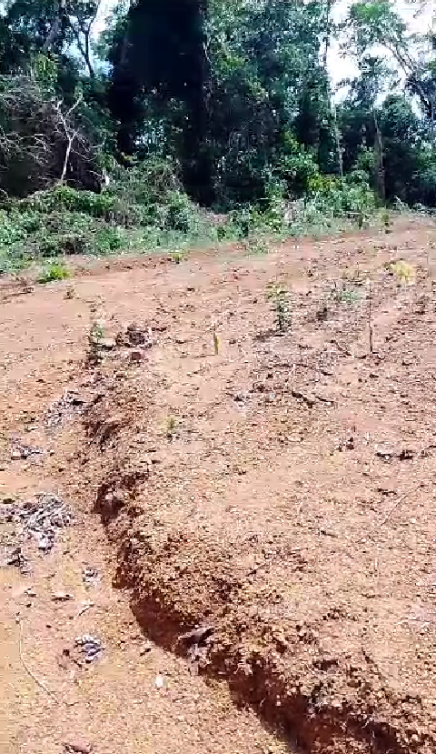 Land Available at pk 21, Douala. 7000XAF M2