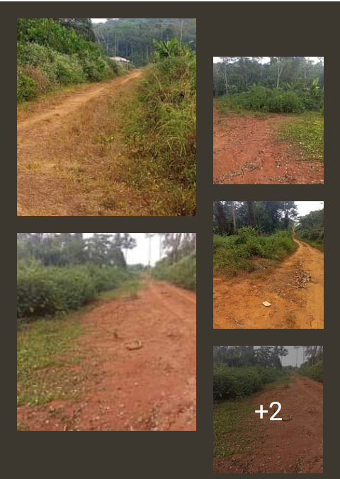 Titled Lands for sale available all over Yaoundé at affordable prices from 3000XAF m2.