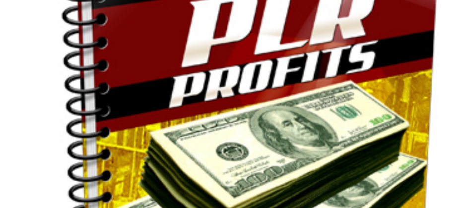 Instant PLR Profits