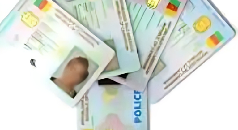 The Cost of Cameroon New ID Card Revealed