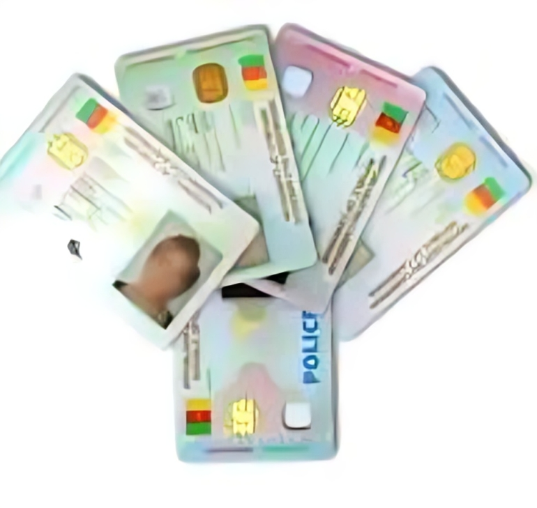 The Cost of Cameroon New ID Card Revealed