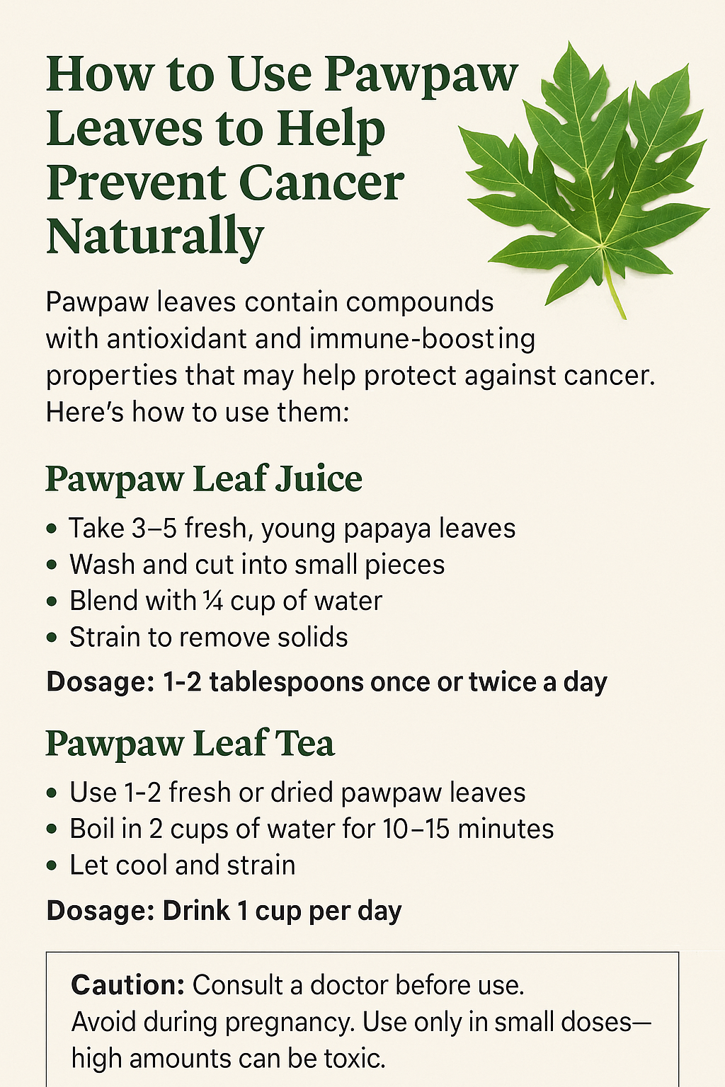 How to Use Pawpaw Leaves to Help Prevent Cancer Naturally